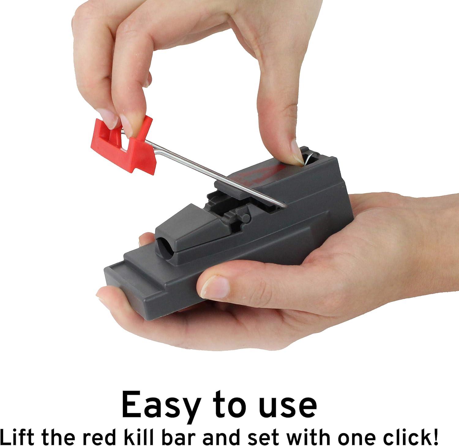 imageVictor M140B QuickKill Easy Set Mouse Trap 2 Reusable Mouse Traps6 Traps Pack of 6