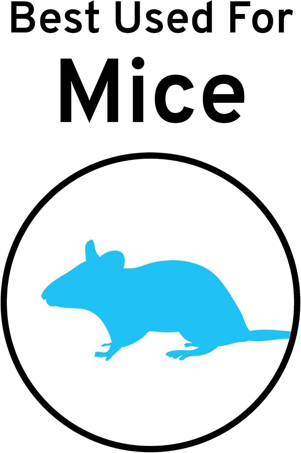 imageVictor M140B QuickKill Easy Set Mouse Trap 2 Reusable Mouse Traps6 Traps Pack of 6