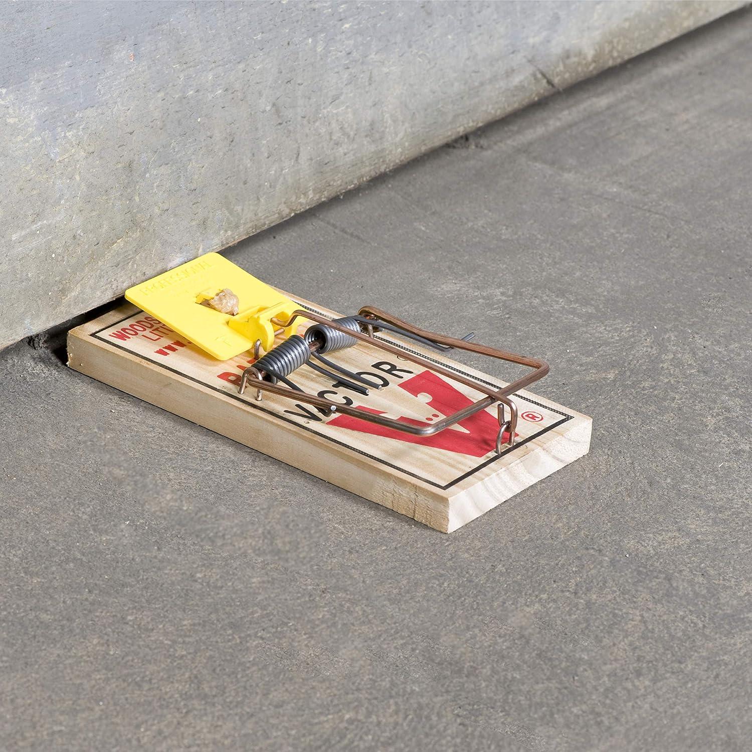 imageVictor M2059 Wide Plastic Pedal Sustainably Sourced FSC Wood Humane Snap Rat Traps 9 Wooden Traps9 Traps