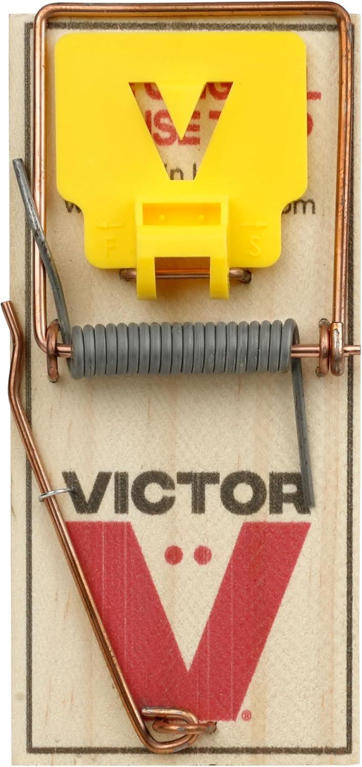 imageVictor Mouse Traps M03512 Plastic Pedal Sustainably Sourced FSC Wood Wooden Mouse Traps 12 Pack12 Plastic Pedal Traps