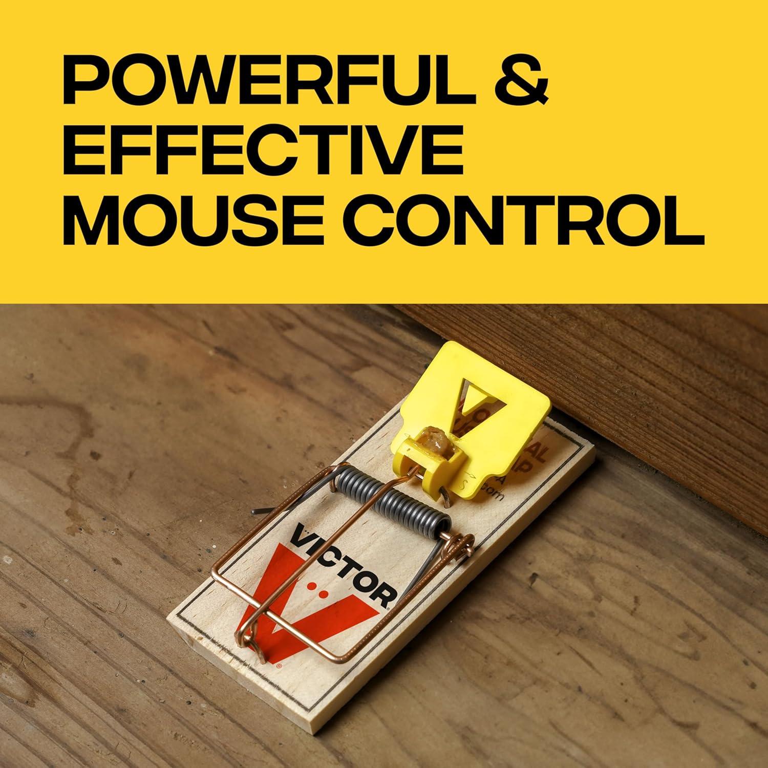 imageVictor Mouse Traps M03512 Plastic Pedal Sustainably Sourced FSC Wood Wooden Mouse Traps 12 Pack12 Plastic Pedal Traps