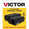 2 Traps