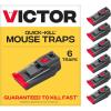 6 Traps