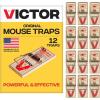 12 Metal Pedal Traps