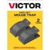 2 Traps