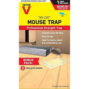 Terro Victor M310S Tin Cat Multi-Catch Live Mouse Trap – Indoor and Outdoor Humane Catch and Release Mouse Trap – 6 Traps(1 Trap + 2 Glue Boards)