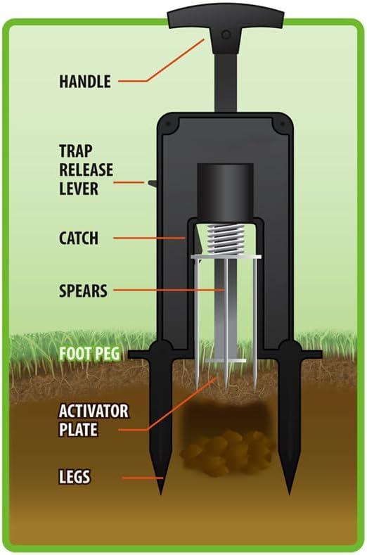 imageVictor EasytoSet Deadset Mole Trap and Killer M9015 Trap and Kill Moles OutdoorsMole Trap