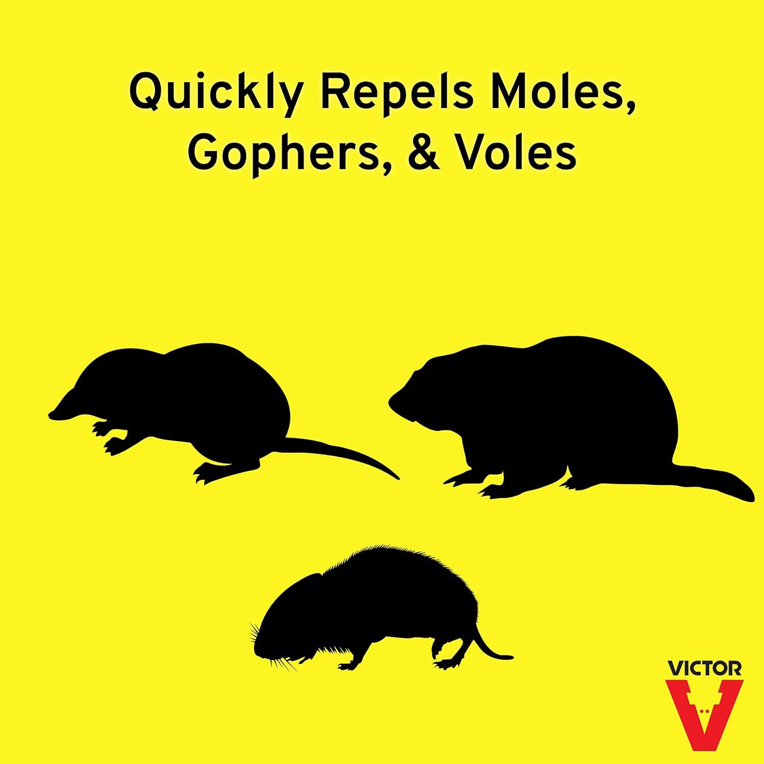 imageVictor Mole ampamp Gopher Repellent Readyto Use Spray M800232 fl oz Bottle Covers up to 10000 Sq Ft Repel Moles and Gophers HoseEnd Spray