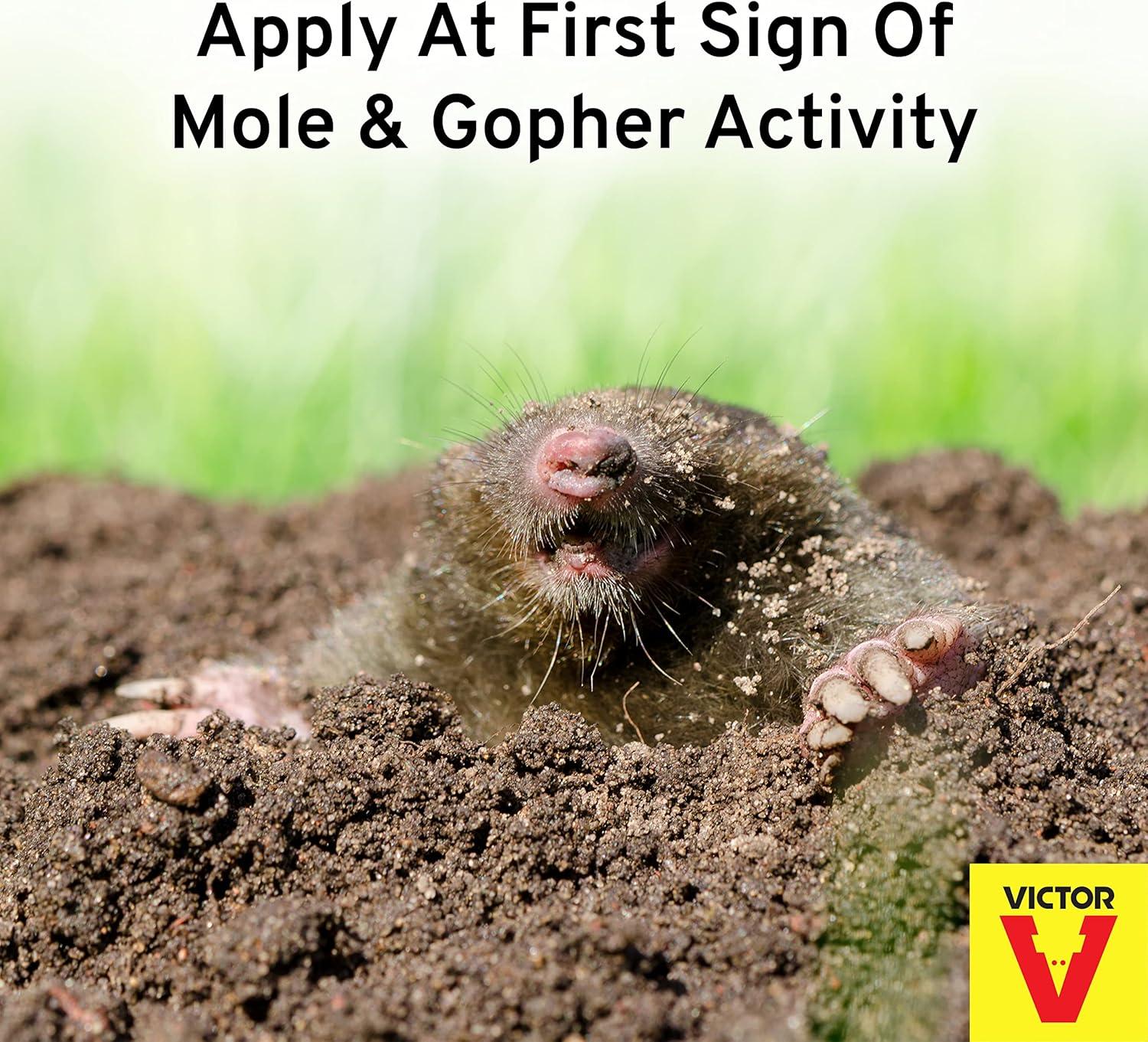 imageVictor Mole ampamp Gopher Repellent Readyto Use Spray M800232 fl oz Bottle Covers up to 10000 Sq Ft Repel Moles and Gophers HoseEnd Spray
