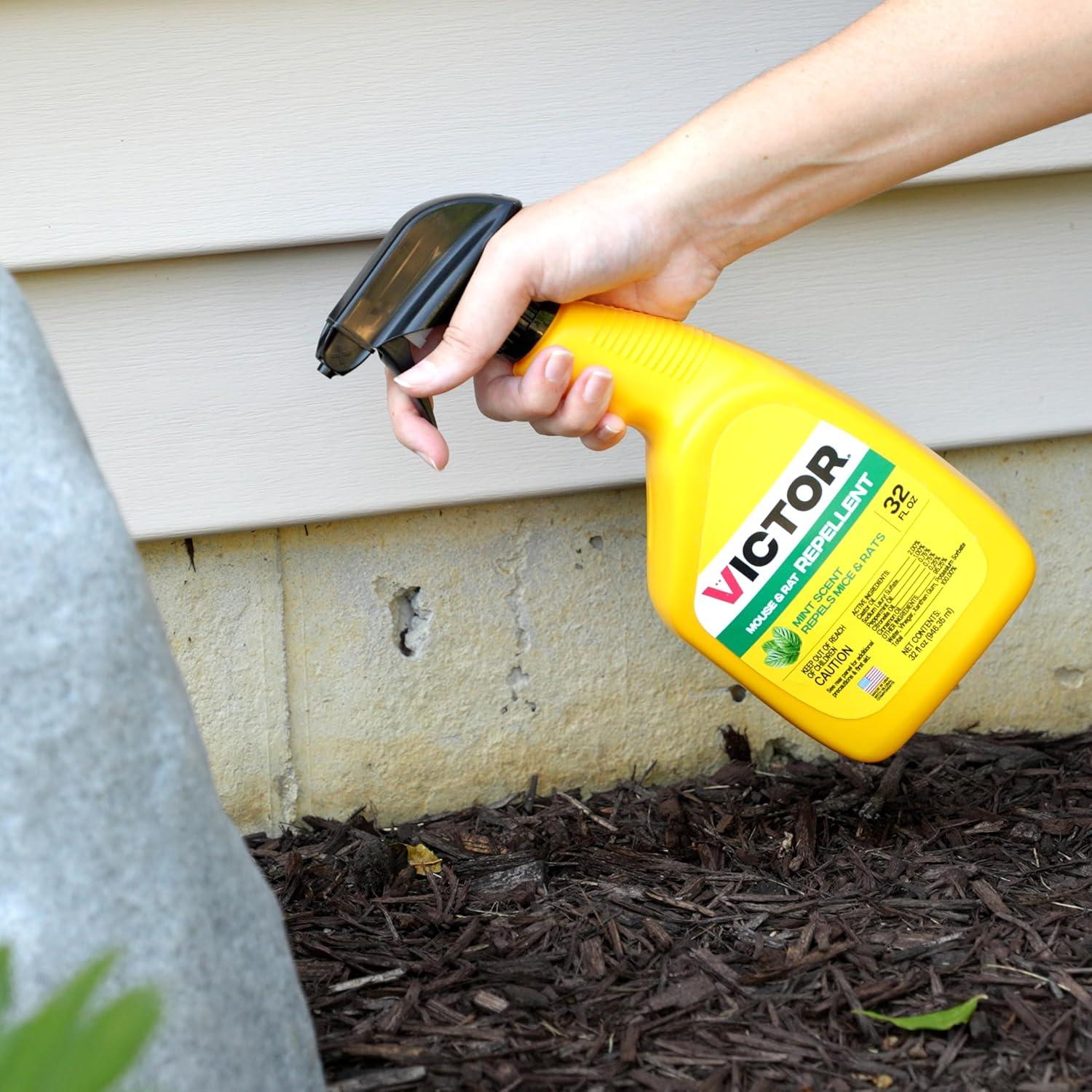 imageVictor Mouse and Rat Repellent Spray M809 Natural NonToxic Rodent Repellent Spray for Indoor and Outdoor Use Ready to Use 32 fl oz Bottle Up to 67 Linear Ft Coverage32 fl oz