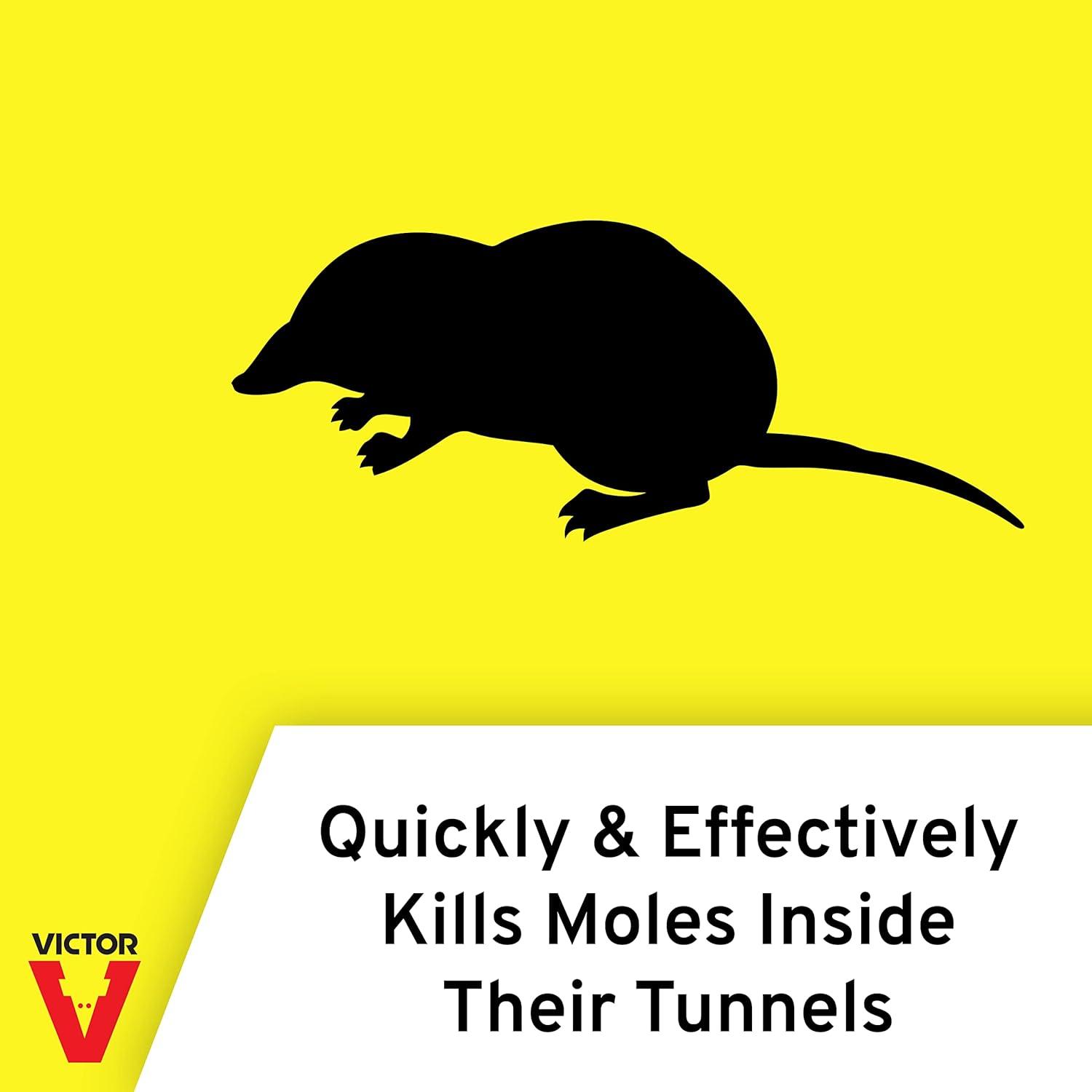imageVictor Plunger Style Mole Trap Kill Moles in Your Yard Humanely Kill Moles 0645 Weather Resistant Trap Ready to Use1
