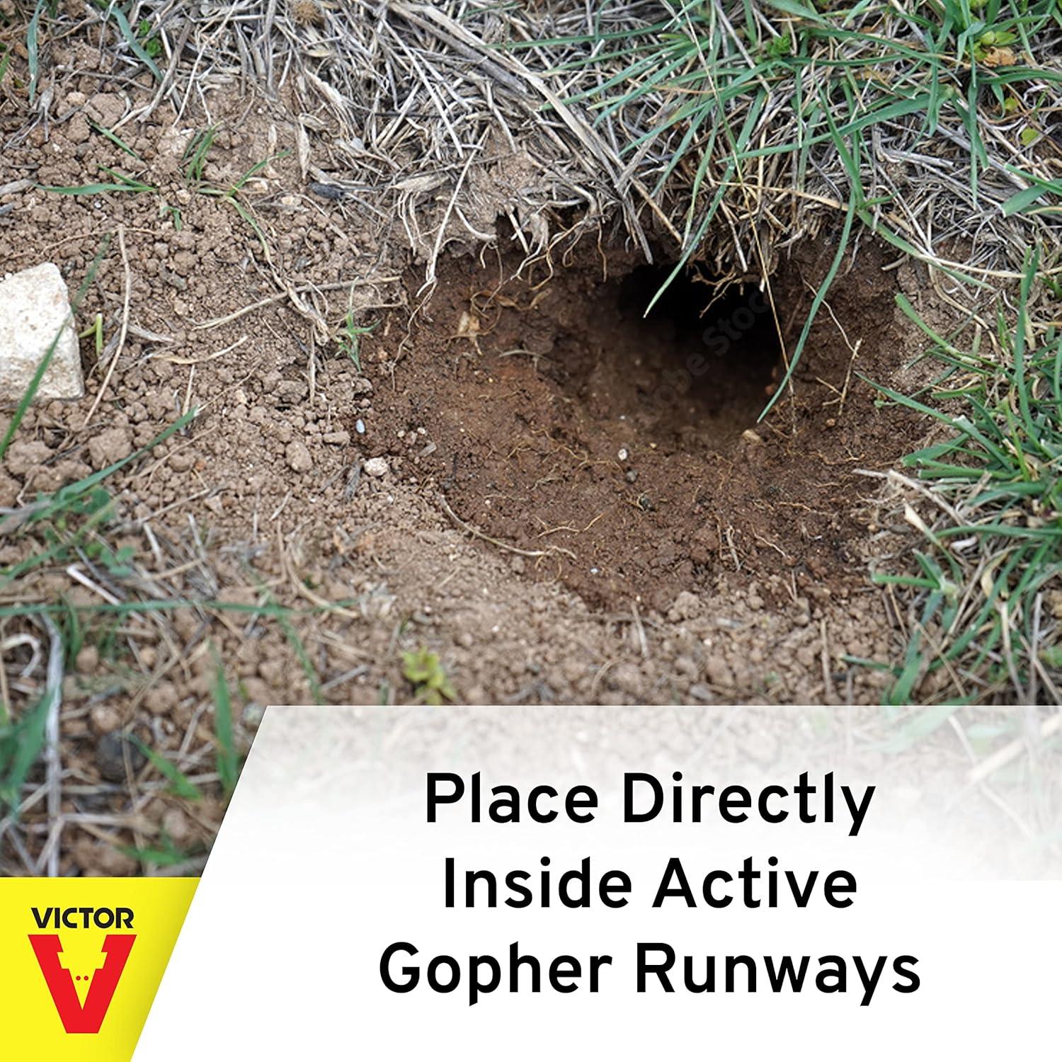 imageVictor Black Box Gopher Trap Gopher Traps Durable Design Outdoor Trap for Gophers Victor 0626No Size