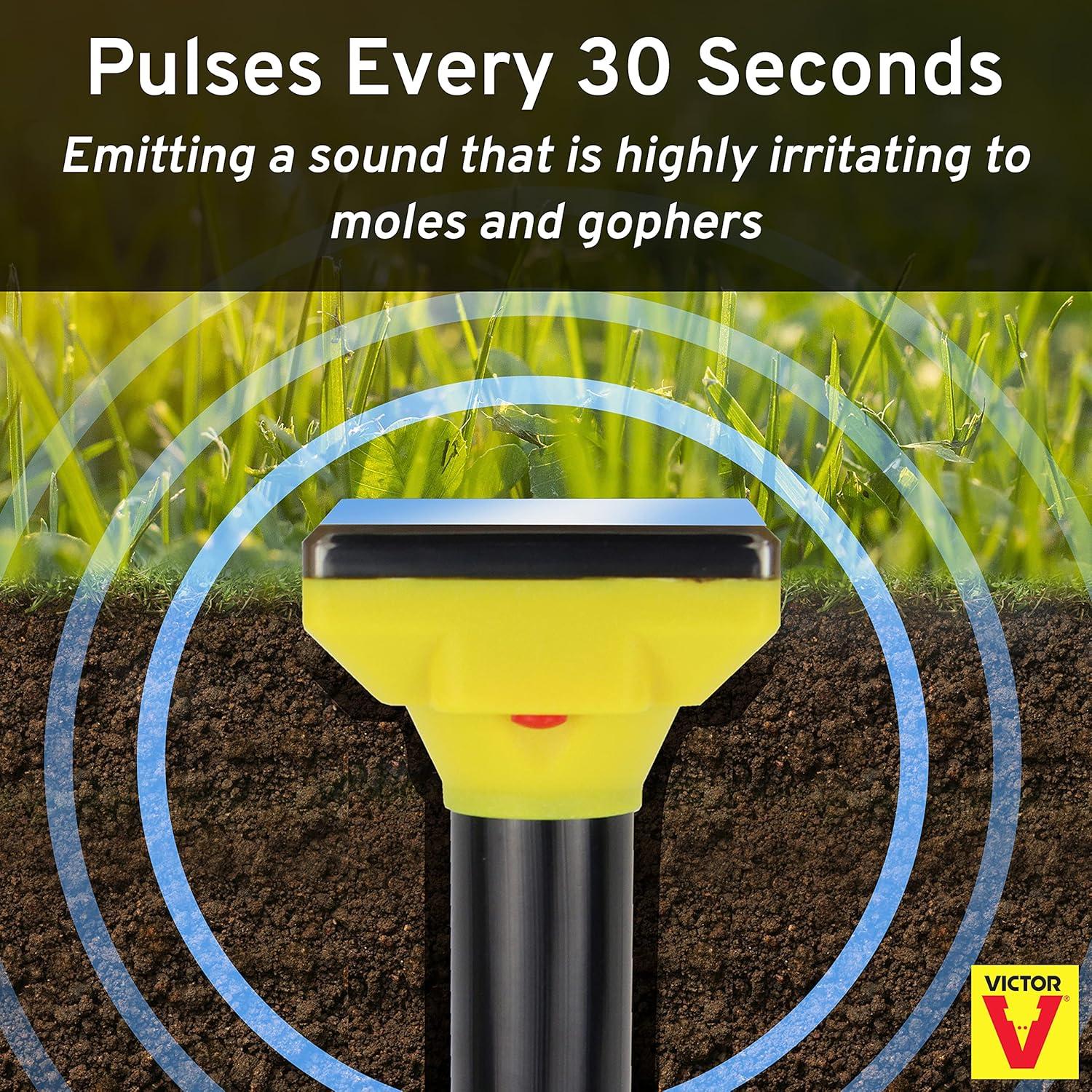 image:imageVictor Mole and Gopher Solar Powered Sonic Spike Outdoor Mole and Gopher Repellent M9014 Chemical Free Solution SolarPowered1 Count Pack of 2